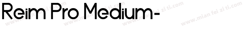 Reim Pro Medium字体转换